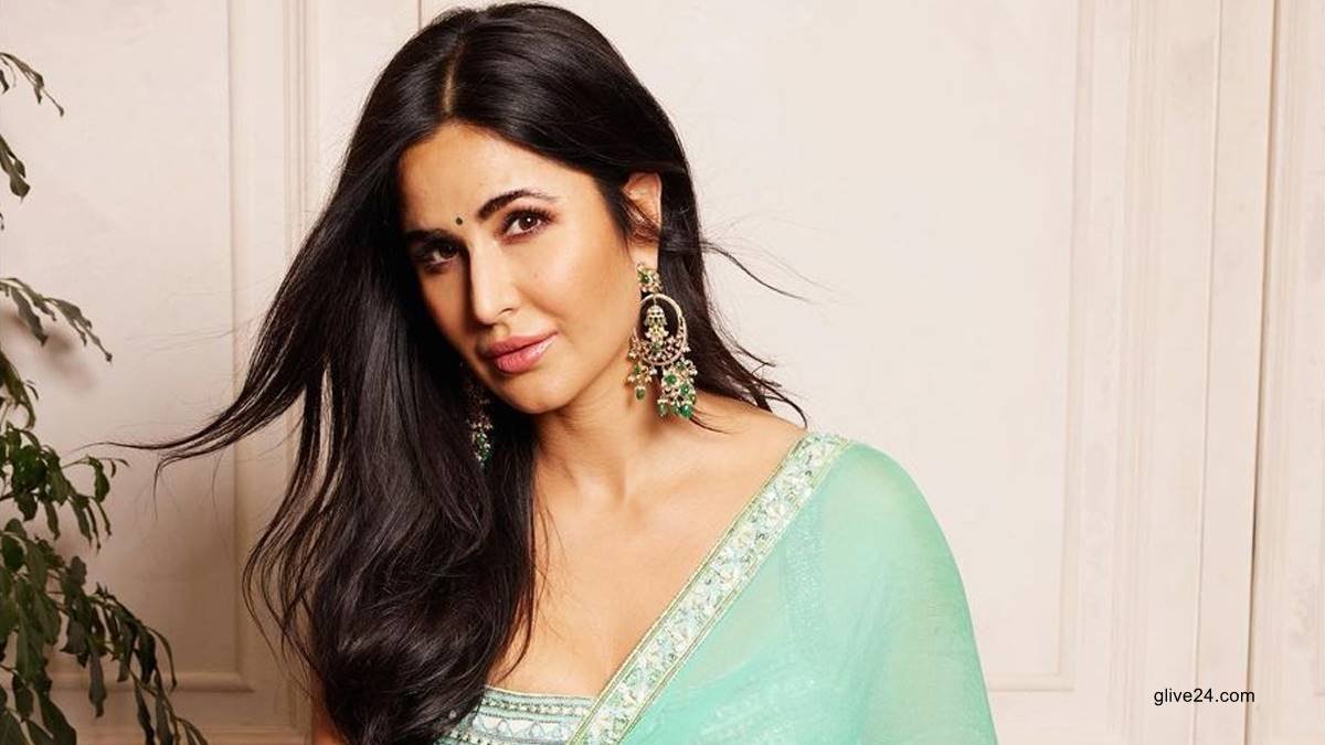 শেষের পথে ভিকি-ক্যাট এর দাম্পত্য জীবন ?