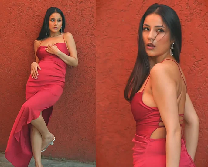 রিয়া কাপুরের কথায় পোশাক খুলতেও রাজি শেহনাজ গিল